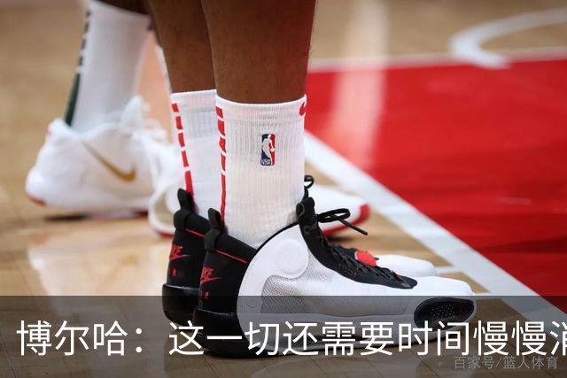 博尔哈：这一切还需要时间慢慢消化，但此刻我真的非常幸福